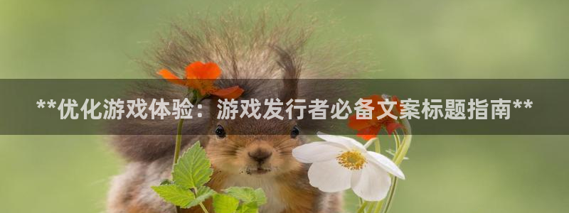 蓝狮校服