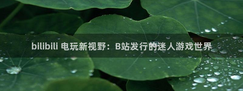 广州蓝狮网络科技有限公司招聘