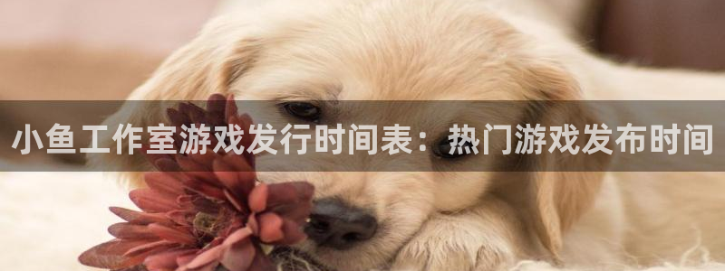 蓝狮有什么寓意