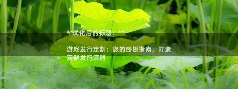 蓝狮技术有限公司