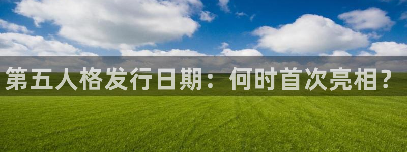 蓝狮电子科技怎么样