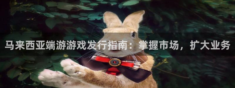 蓝狮在线客服服务