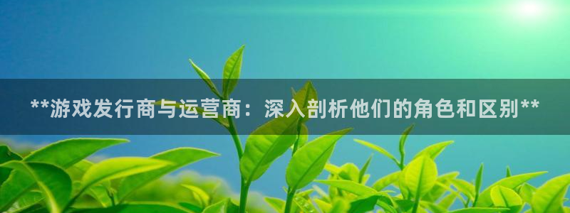 四川蓝狮科技有限公司怎么样