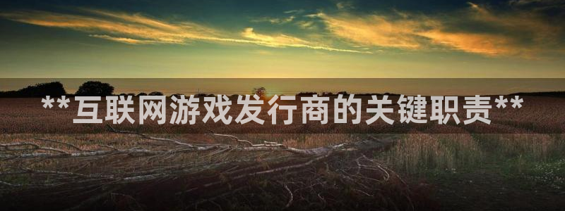 蓝狮在线平台代理条件如何：**互联网游戏发行商的关键职责**