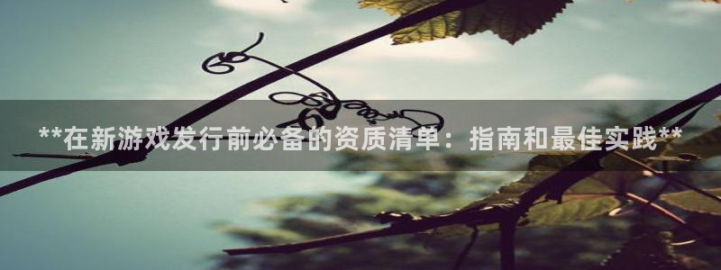 蓝狮在线是什么娱乐?：**在新游戏发行前必备的资质清单：指南和最佳实践**