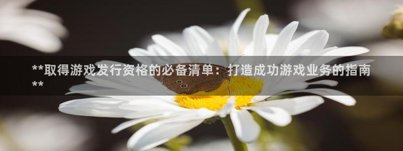 蓝狮在线注册平台是什么软件：**取得游戏发行资格的必备清单：打造成功游戏业务的指南
**