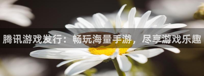 长沙蓝狮子电子商务有限公司：腾讯游戏发行：畅玩海量手游，尽享游戏乐趣