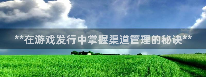 蓝狮在线注册方法是什么：**在游戏发行中掌握渠道管理的秘诀**