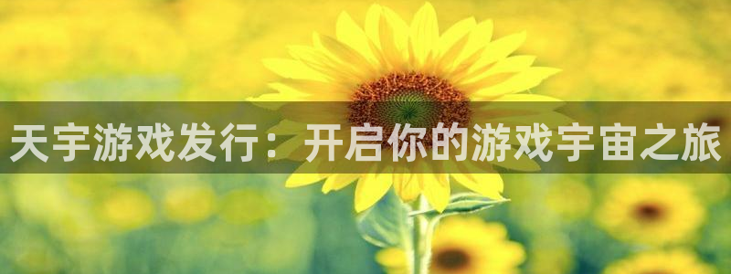 蓝狮在线平台怎么样啊：天宇游戏发行：开启你的游戏宇宙之旅