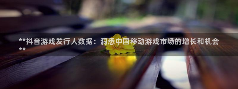 蓝狮品牌服装：**抖音游戏发行人数据：洞悉中国移动游戏市场的增长和机会
**