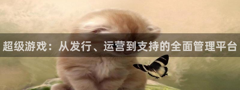 东莞蓝狮信息科技有限公司