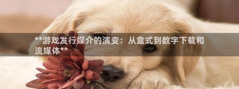 蓝狮在线注册平台合法吗?：**游戏发行媒介的演变：从盒式到数字下载和
流媒体**