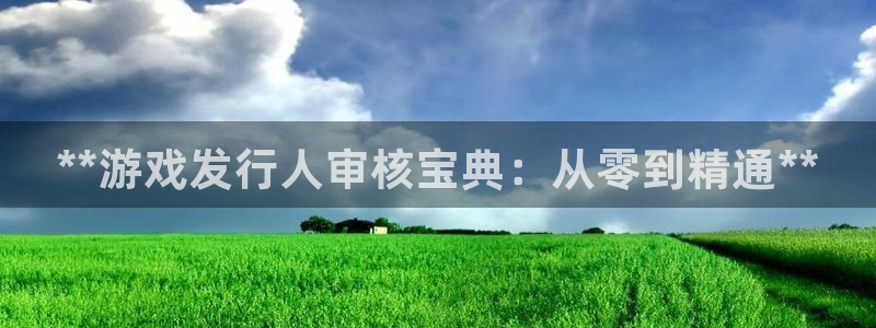 陕西蓝狮子文化创意有限公司有什么游戏