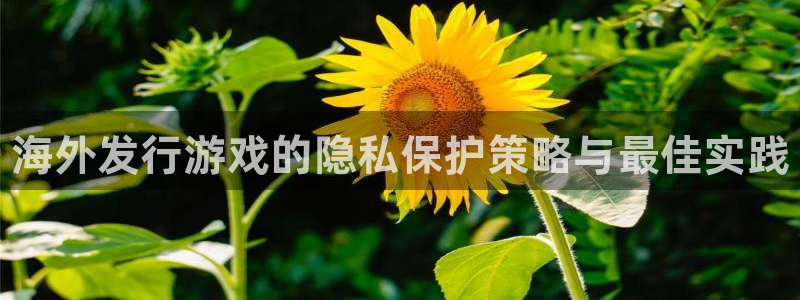 广州蓝狮网络科技有限公司招聘