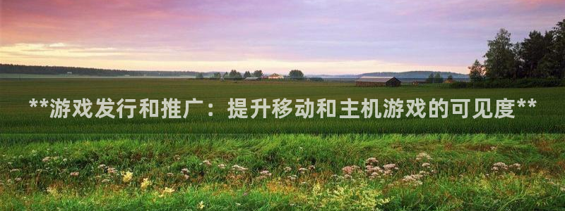 lvnces蓝狮衣服价格：**游戏发行和推广：提升移动和主机游戏的可见度**