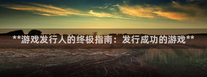 蓝狮集团品牌策划机构：**游戏发行人的终极指南：发行成功的游戏**
