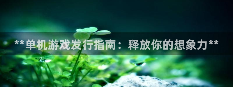 南京蓝狮子电子商务有限公司：**单机游戏发行指南：释放你的想象力**