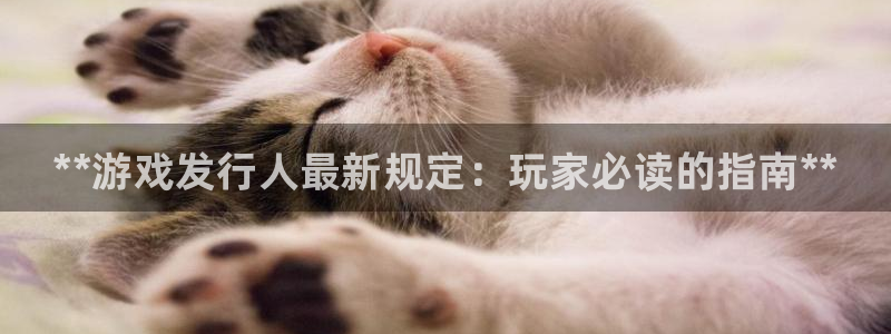 东莞蓝狮信息科技有限公司