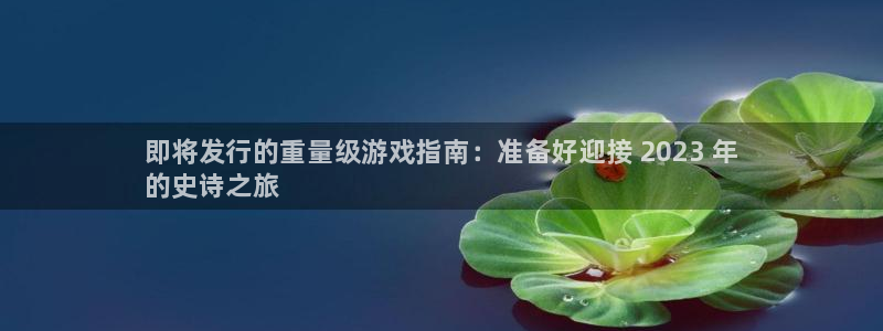 蓝狮子文化是干什么的