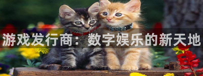 蓝狮在线平台注册账号注意事项：游戏发行商：数字娱乐的新天地