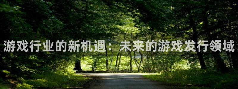 蓝狮电子商务有限公司怎么样：游戏行业的新机遇：未来的游戏发行领域