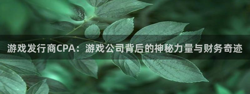 广东蓝狮电子科技有限公司 联系电话：游戏发行商CPA：游戏公司背后的神秘力量与财务奇迹