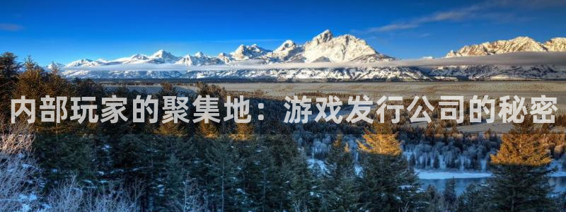 蓝狮在线登录注册不了怎么办