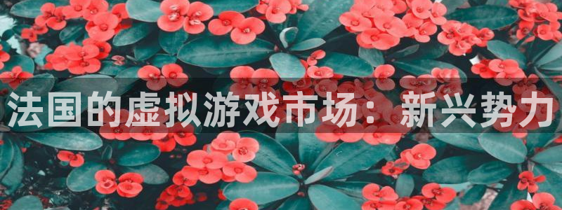 蓝狮实业投资(东莞)有限公司：法国的虚拟游戏市场：新兴势力