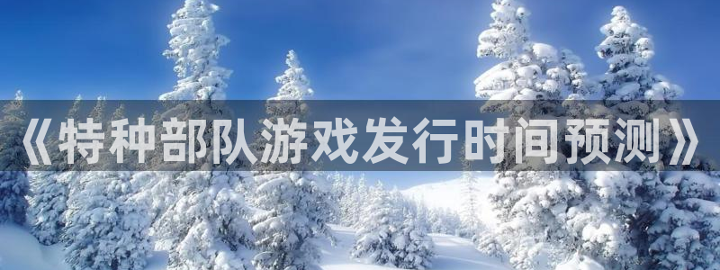 蓝狮啤酒多少钱一箱：《特种部队游戏发行时间预测》