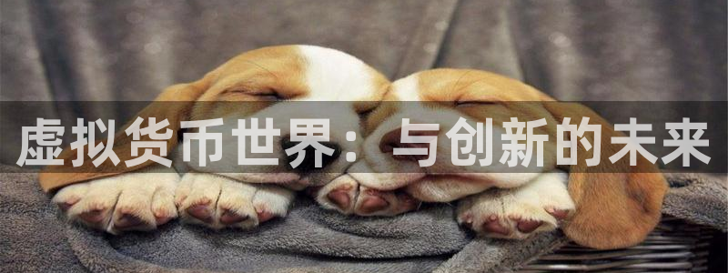 蓝狮在线平台代理条件如何：虚拟货币世界：与创新的未来